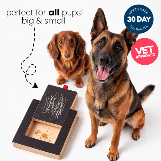 PlayNails - Pet Nail Trimmer